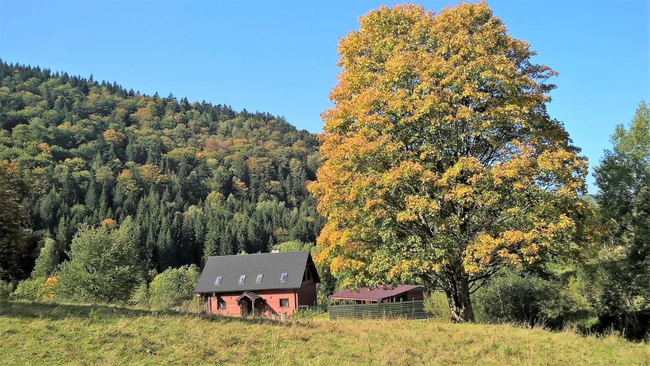 Krolikowka Строне-Слёнске Экстерьер фото