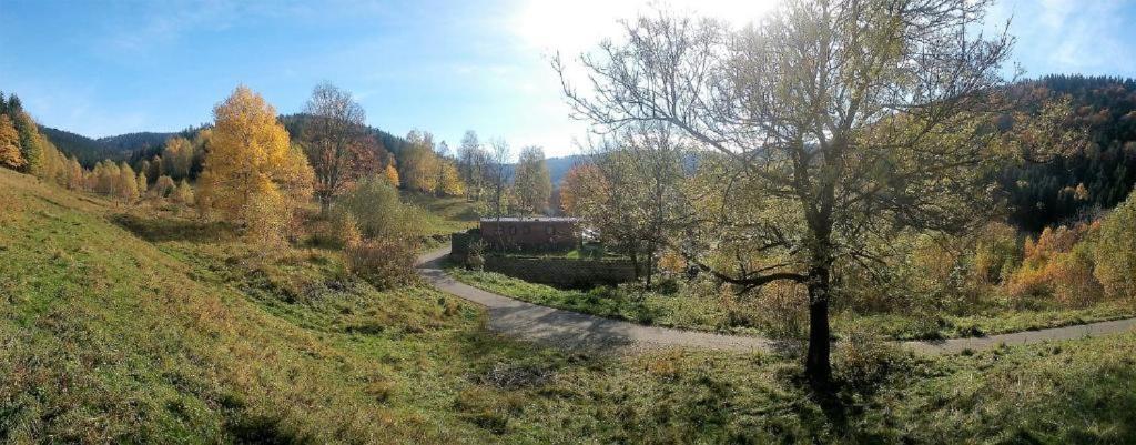 Krolikowka Строне-Слёнске Номер фото